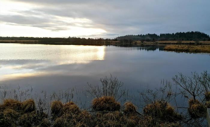Llyn Llech Owain Country Park